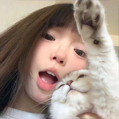 聪明的鸭子